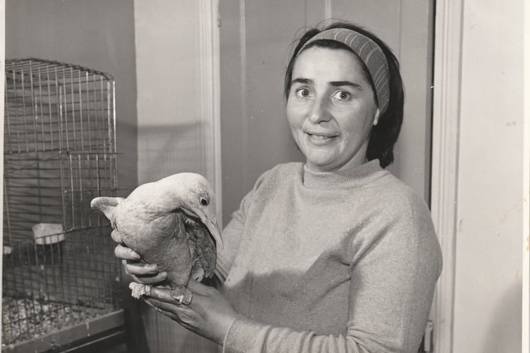 Molly Burkett in 1965 with a rescued gull.