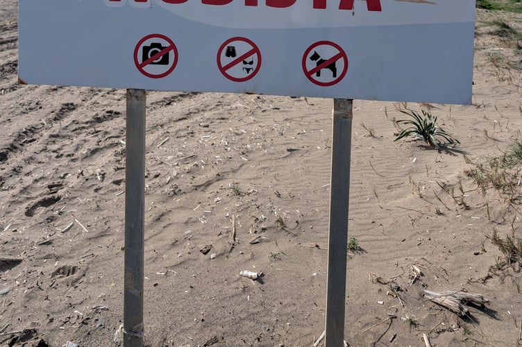 Aleksander Sikora's trip to Malaga, Spain. A savvy travel-lover flew to Malaga for a day by the seaside for only £44 - taking just his passport, water bottle and a pack of sausage rolls.Aleksander Sikora, 41, fancied escaping rainy England for a day - and searched for budget flights.The dad-of-two snapped up £32 return flights to Malaga, Spain, and set off on January 31 from Gatwick, on his day off.He spent the day wandering around the nearby town of Guadalmar, strolling along the beach and enjoying sun and 19 degree heat.With a plan to keep the day trip as affordable as possible, he brought his own fuel - an eight-pack of sausage rolls bought from Lidl the day before, and a water bottle to refill throughout the day.