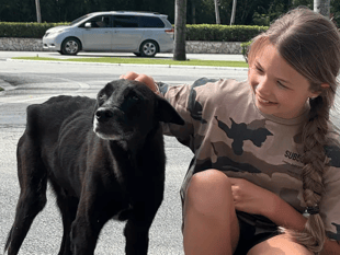 Dom the Dominican dog seeking funds for UK forever home