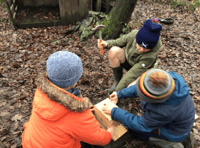 Bird boxes take flight at Camelsdale School