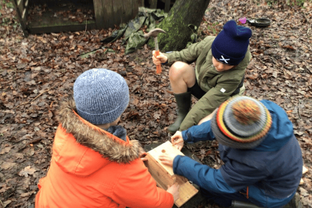 Bird boxes take flight at Camelsdale School