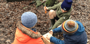 Bird boxes take flight at Camelsdale School