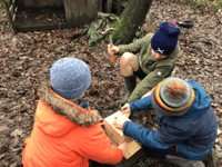 Bird boxes take flight at Camelsdale School