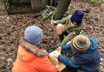 Bird boxes take flight at Camelsdale School