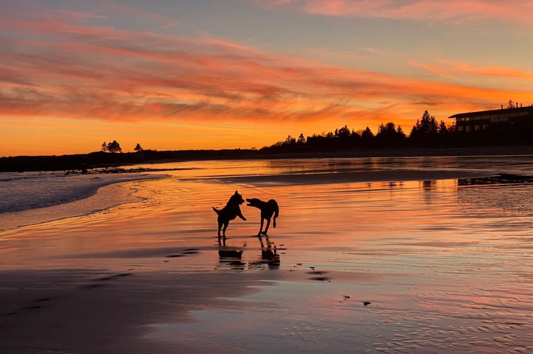 A British couple sold their troubled new-build home and moved to rural Canada to build their dream house mortgage-free after snapping up seven acres of land for just £30,000. llChris and Sarah Kennealy, both 41, left Basingstoke, Hampshire, in August 2023 after growing fed up with the cost and frustrations of home ownership in the UK. The pair, who married in October 2018, had spent four years in their new-build property but say constant issues with the house left them disappointed.