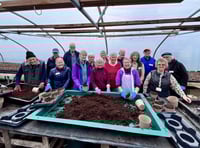Volunteers dig in to help Farnham in Bloom preparations