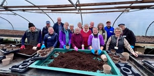 Volunteers dig in to help Farnham in Bloom preparations