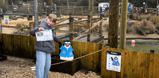 Half-term boost for Birdworld as visitor numbers rise 70 percent