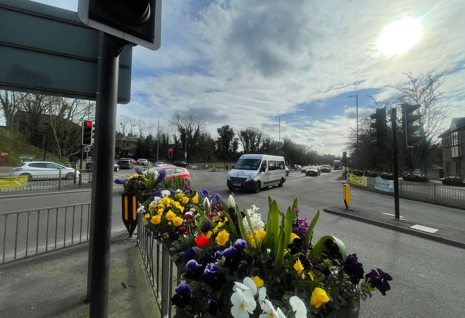 Police renew witness appeal after serious A31 collision