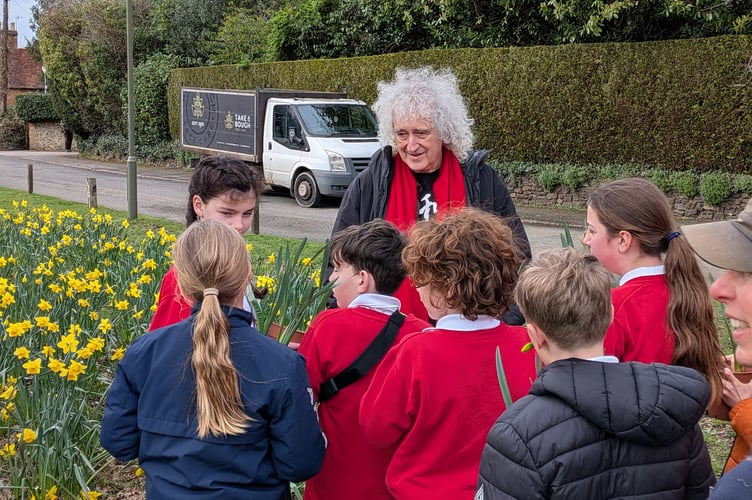 Sir Brian May Daffodils Elstead