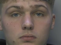 Domestic abuser, 22, jailed for violence and fraud