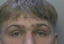 Domestic abuser, 22, jailed for violence and fraud