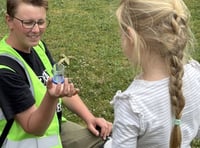 The bees are back in town