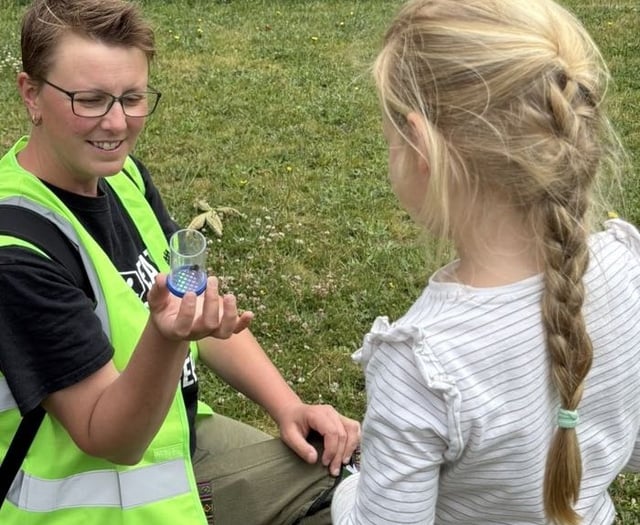 The bees are back in town