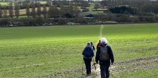 Liphook and District Ramblers enjoy scenic Worldham countryside walk