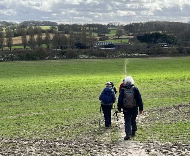 Liphook and District Ramblers enjoy scenic Worldham countryside walk