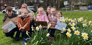 Egg hunt fever as Fernhurst Hub sees biggest turnout yet