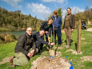 Sycamore Gap sapling planted in South Downs