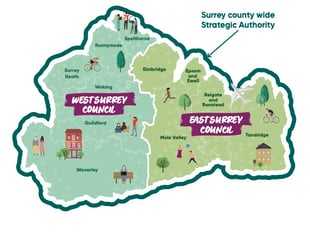 Lib Dems projected to emerge as largest party on new Surrey councils