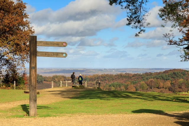 Lifeline for Surrey’s rare heathland as £285k funding secured
