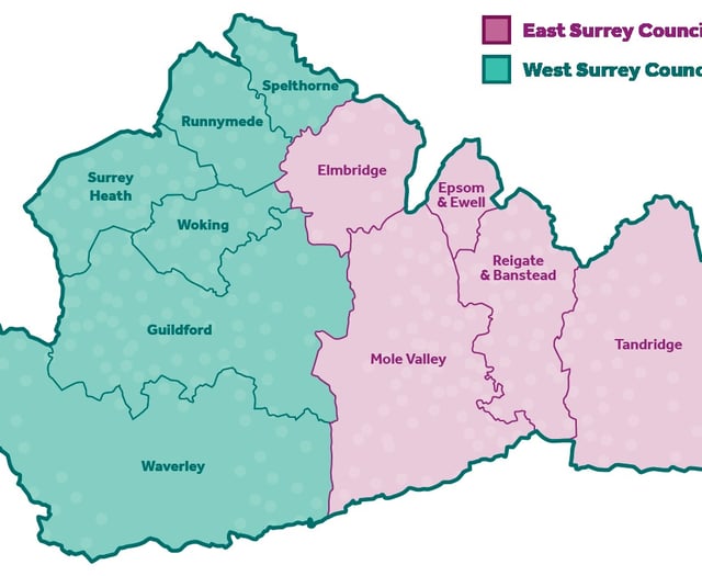 Full list of Waverley candidates for new West Surrey council