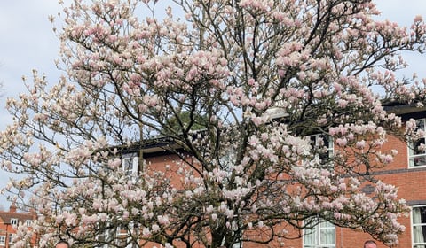 Hindhead Boxing Day Run delivers £5,400 boost for rehabilitation care