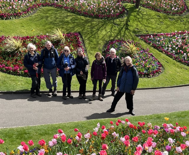 Seven walkers, three downs, one perfect Easter Sunday