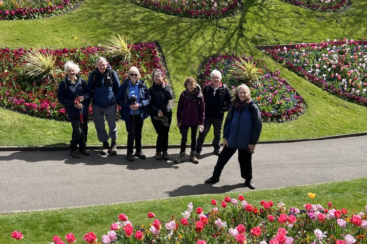 Liphook Ramblers enjoy sunshine and sweeping views on their Easter Sunday walk across the Surrey Downs. (Credit: Liphook Ramblers)