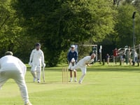 Waverley earn impressive victory at Medstead