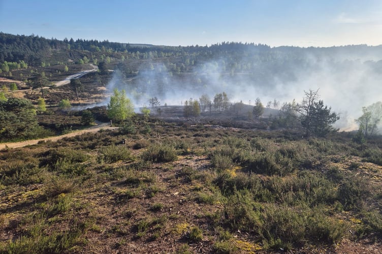 Firefighters tackle the wildfire at Hankley Common Credit: Liphook Fire Service
