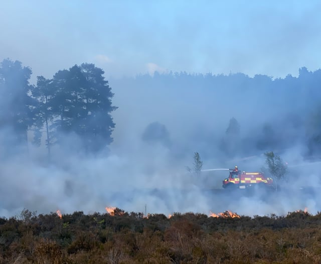 Warning issued after wildfire breaks out on Hankley Common
