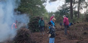 Because the nightjar: Trust plays part in bird's comeback