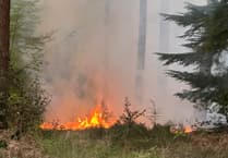 Fire crews tackle major heath blaze on Surrey–Hants border