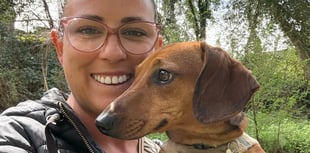 Liphook survivor's fundraising with dachshund