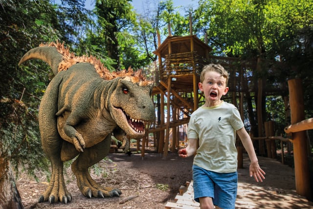 Dinosaurs invade Birdworld this half-term