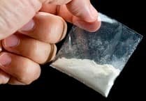 Suspected drug dealer arrested after dog finds 20 bags of cocaine