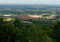 Join our Surrey and Hampshire team