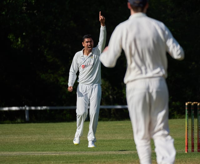 Alton's second team slip to seven-wicket defeat at Hursley Park