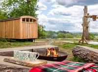 New off-grid woodland sauna opens near Farnham