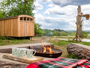 New off-grid woodland sauna opens near Farnham