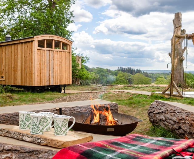 New off-grid woodland sauna opens near Farnham