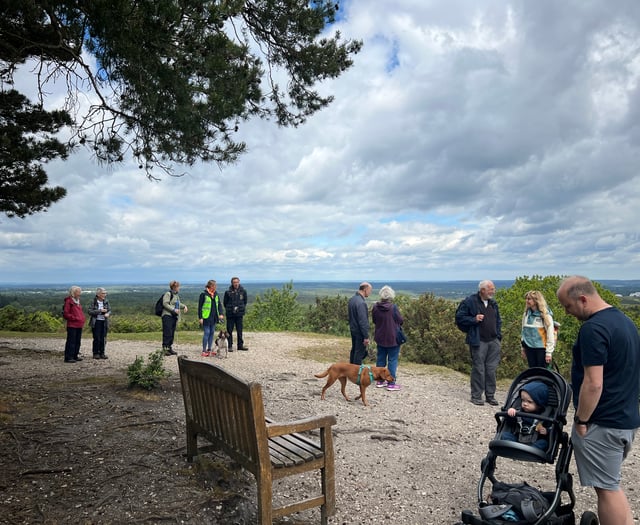 Participants smash step count during walking festival