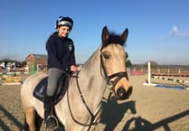 Family devastated after Paddy the pony killed in hit-and-run collision