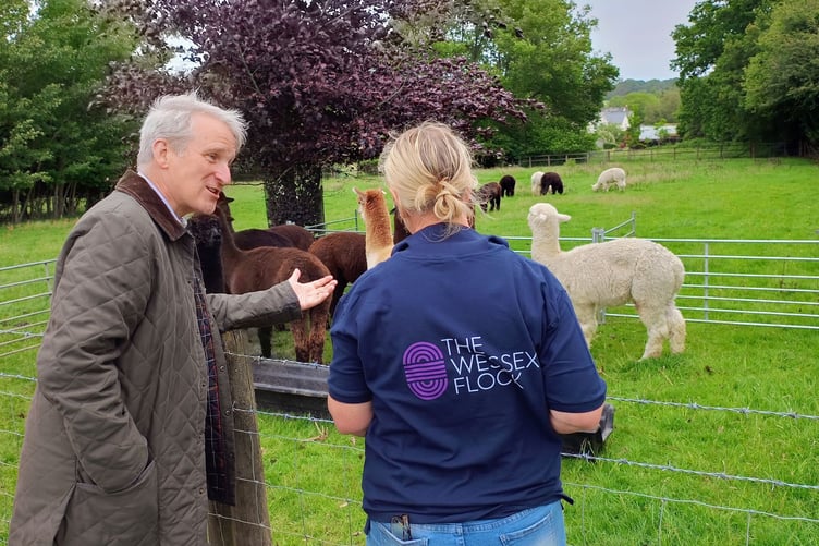 Damian Hinds visits the Wessex Flock in Ropley.