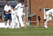 Opener's half-century helps Elstead beat Waverley