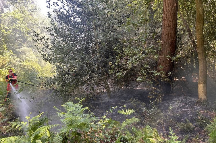 Bordon Inclosure Fire