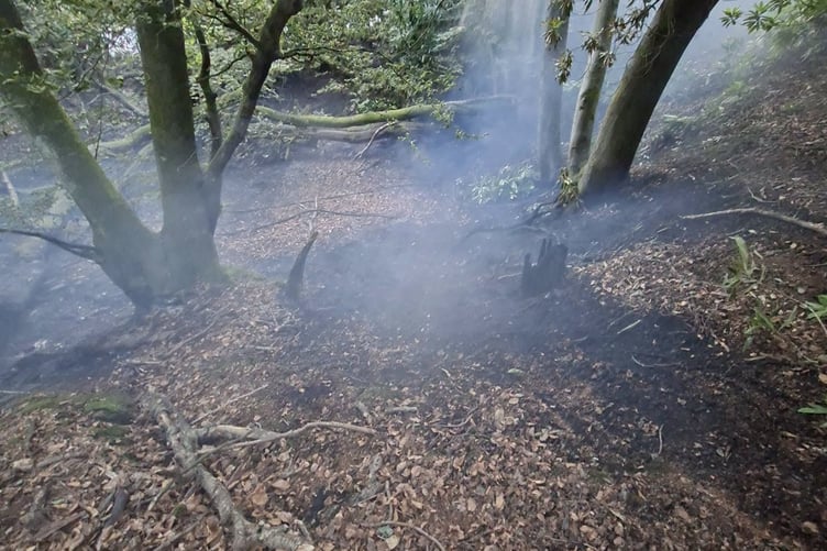 Ewshot woodland fire