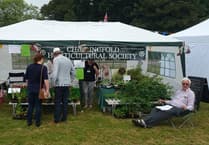 Historic Chiddingfold gardening society on brink of closure