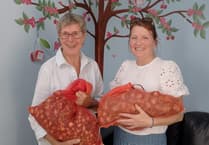 Blooming lovely: village bulbs donated to children's charity