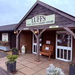 A Luff's story worth celebrating